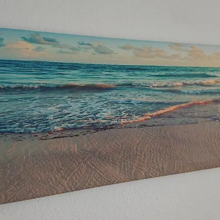 Herzmuschel Gollwitz